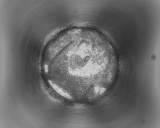 X0000112010682200909141126