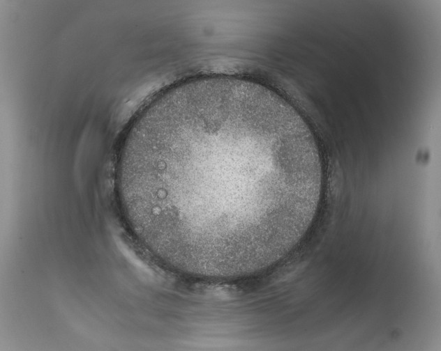 X0000112010683200909141126