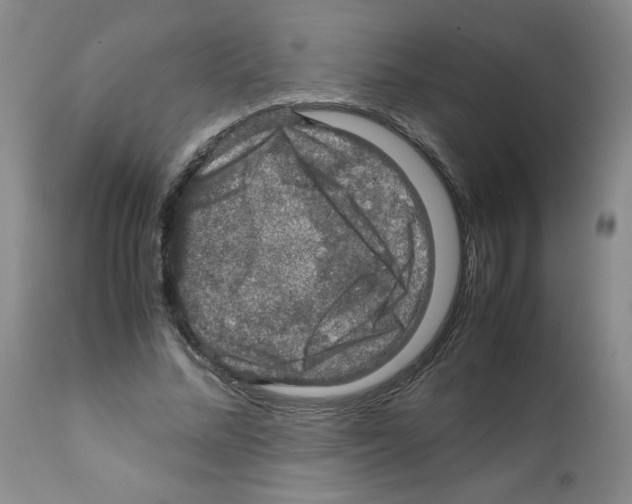X0000112010684200909141126