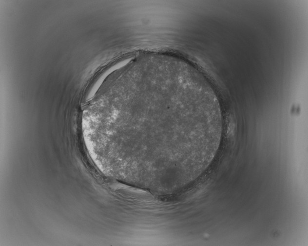 X0000112010685200909141126