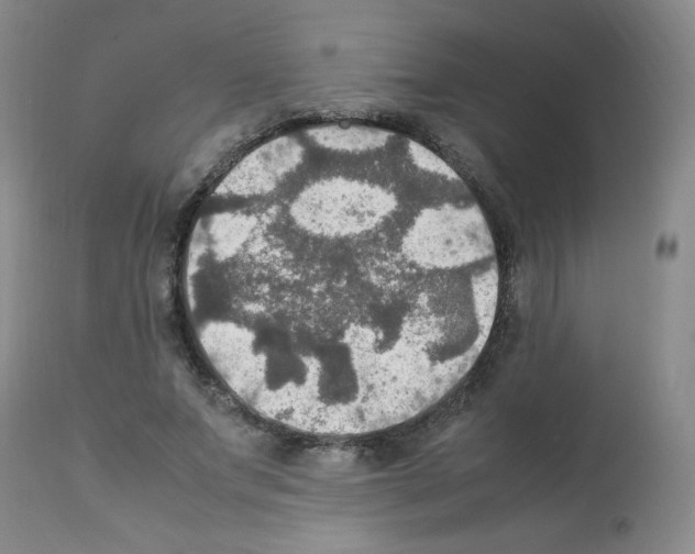 X0000112010687200909141126