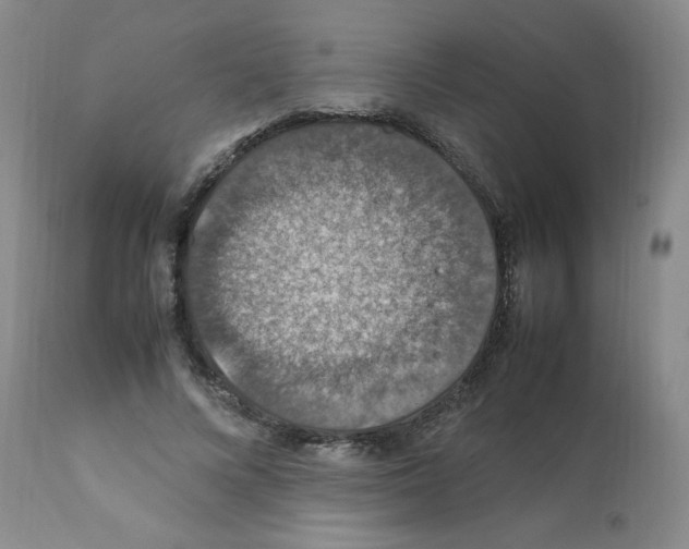 X0000112010688200909141126