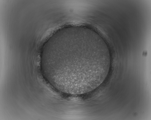 X0000112010689200909141126