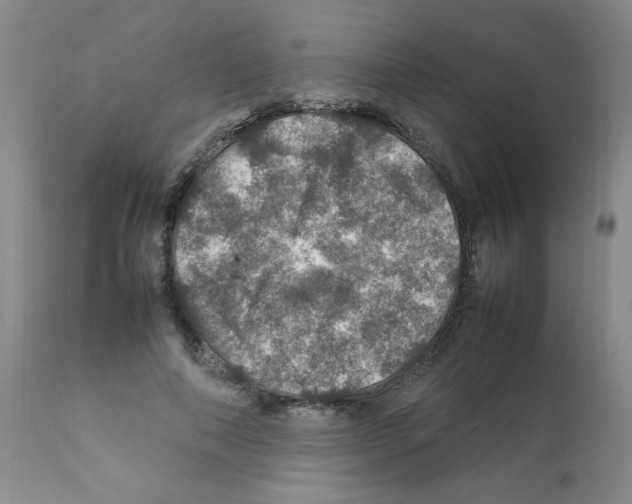 X0000112010690200909141126