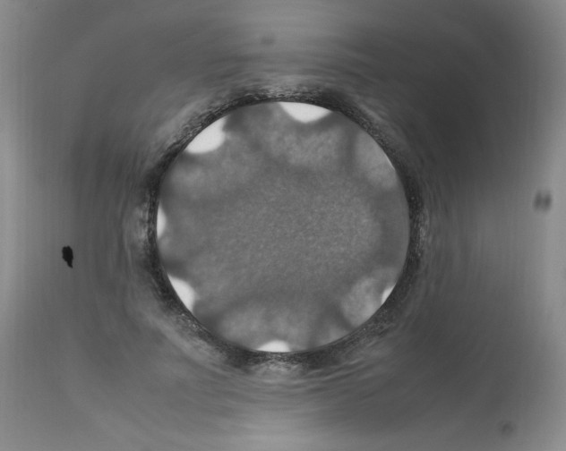 X0000112010691200909141126