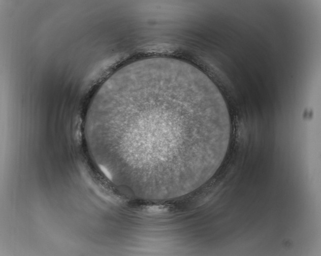 X0000112010692200909141126