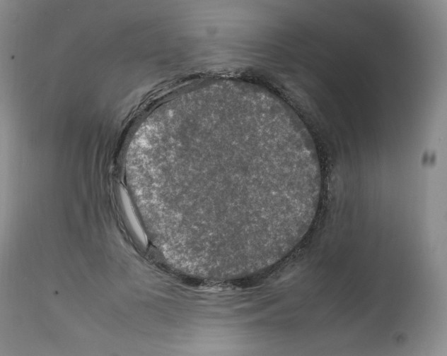 X0000112010693200909141126