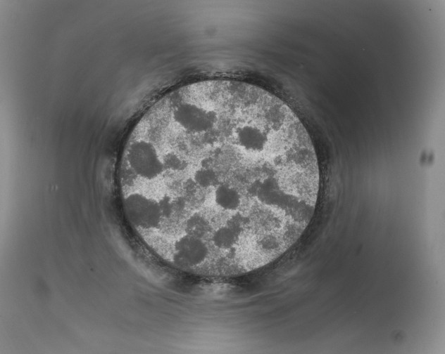 X0000112010695200909141126