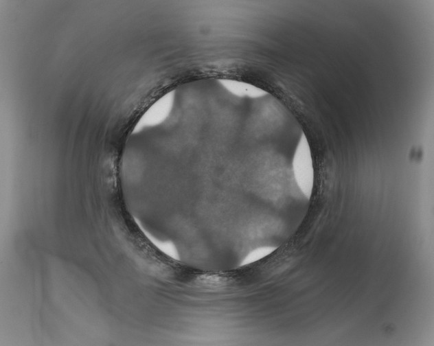 X0000112010699200909141126