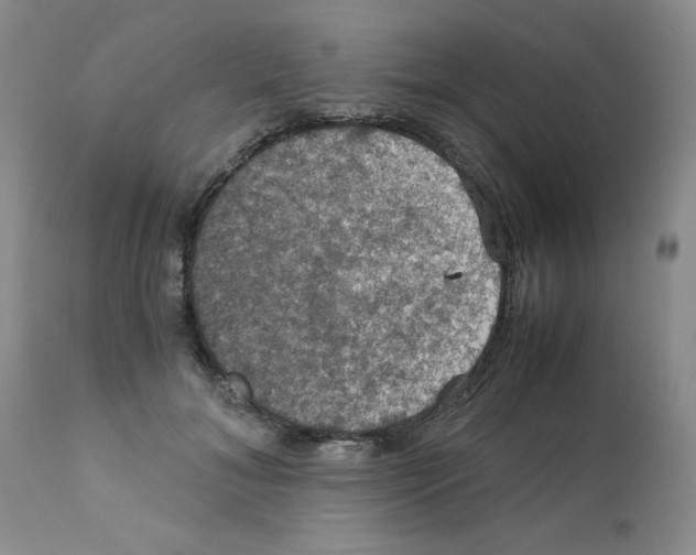 X0000112010700200909141126