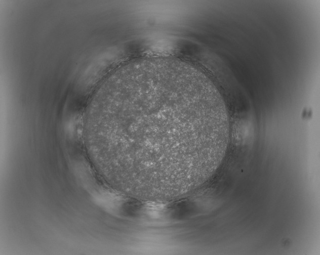 X0000112010701200909141126
