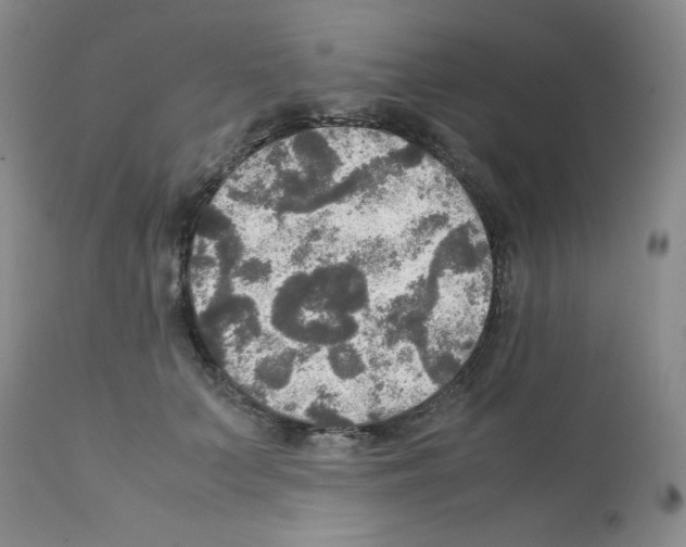 X0000112010703200909141126
