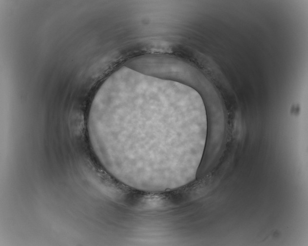 X0000112010704200909141126