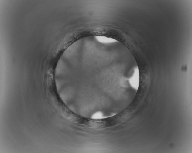 X0000112010707200909141126