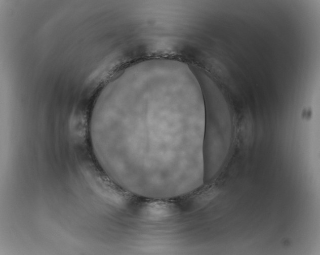 X0000112010708200909141126