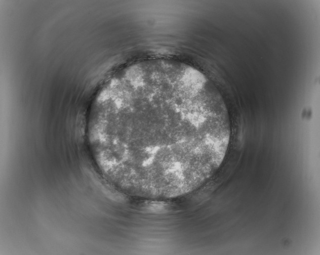 X0000112010710200909141126