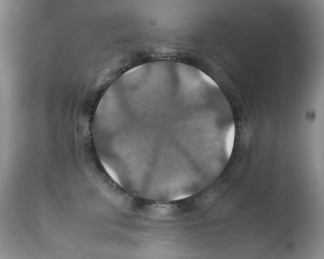 X0000112010711200909141126