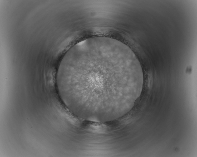 X0000112010712200909141126