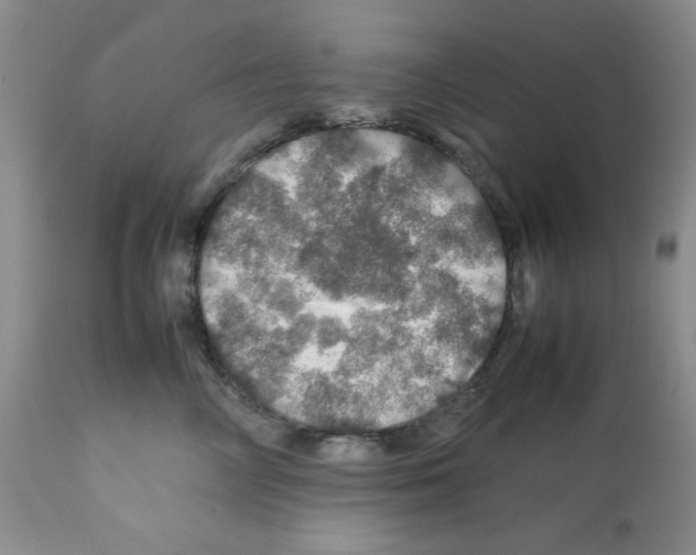X0000112010714200909141126