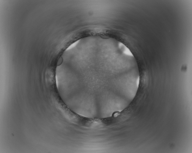 X0000112010715200909141126