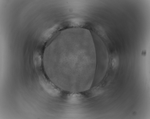X0000112010716200909141126