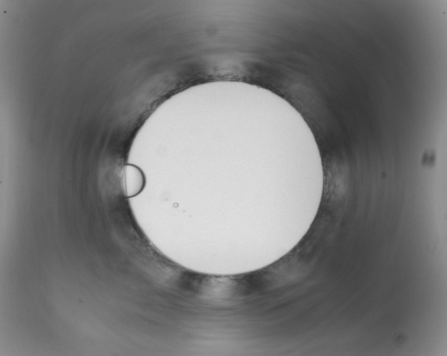 X0000112010717200909141126