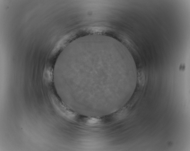 X0000112010718200909141126