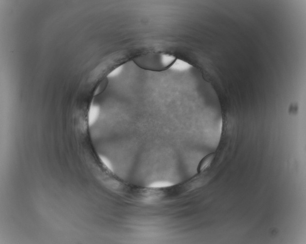X0000112010719200909141126