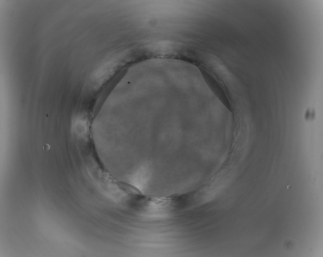 X0000112010720200909141126