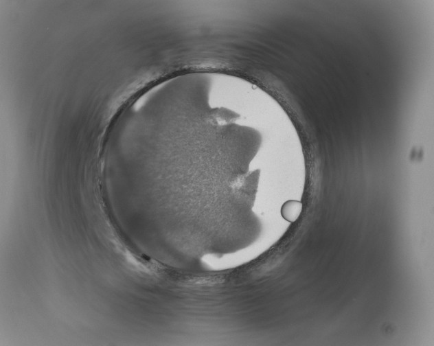 X0000112010721200909141125