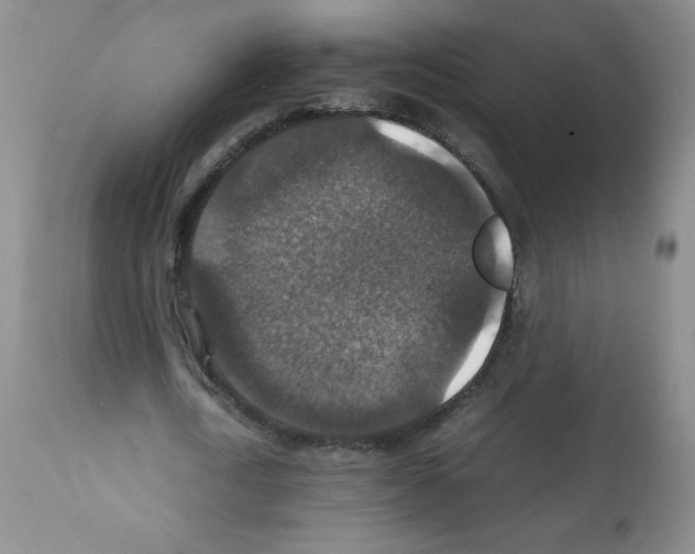 X0000112010722200909141125