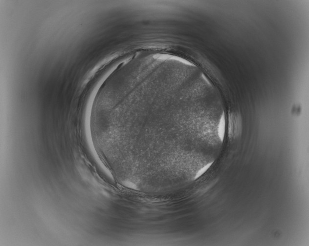 X0000112010723200909141125