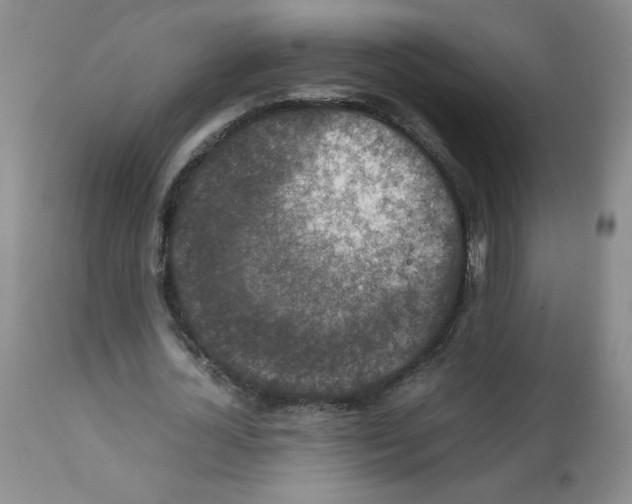 X0000112010724200909141125