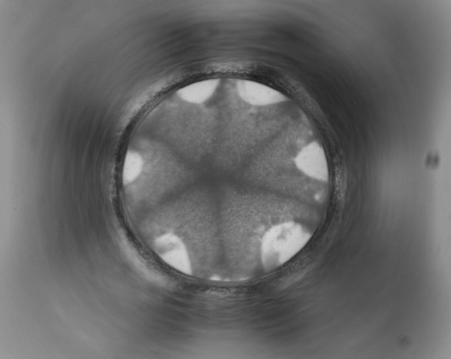 X0000112010725200909141125