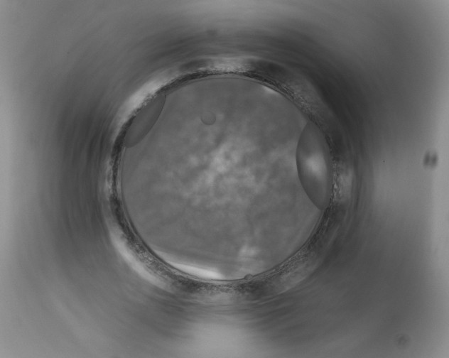 X0000112010726200909141125