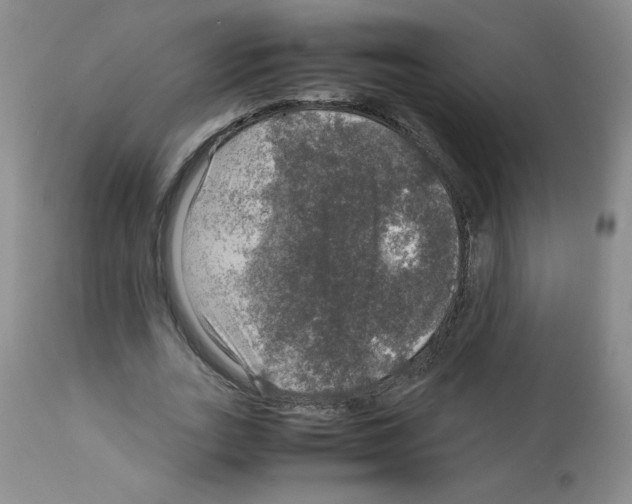 X0000112010727200909141125