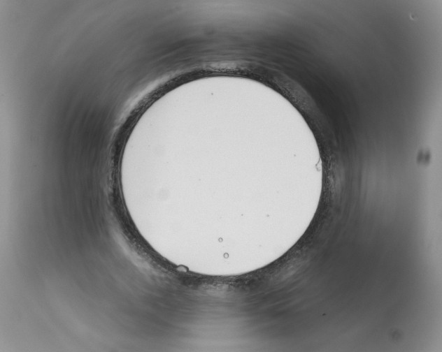 X0000112010728200909141125