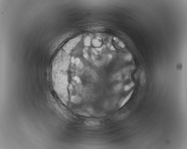X0000112010729200909141125
