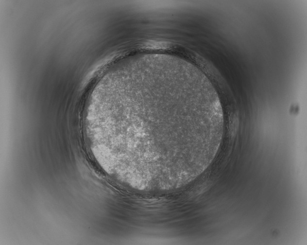 X0000112010731200909141125