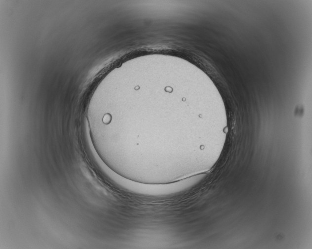 X0000112010732200909141125