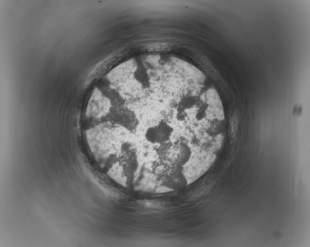 X0000112010733200909141125