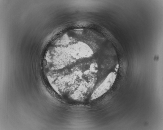 X0000112010734200909141125