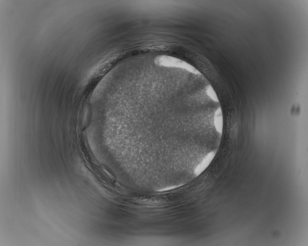 X0000112010735200909141125