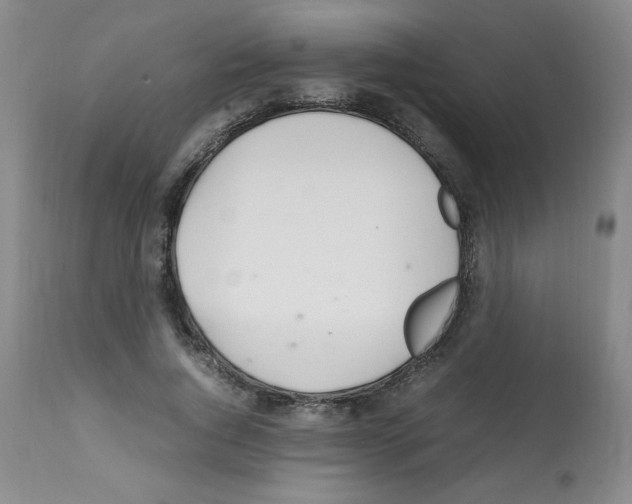 X0000112010736200909141125