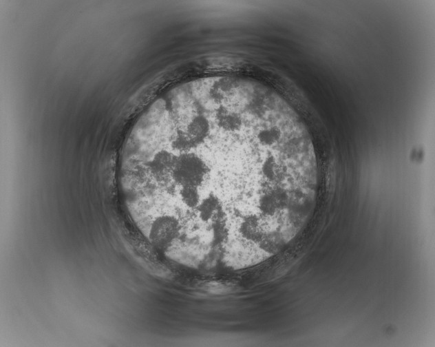 X0000112010737200909141125