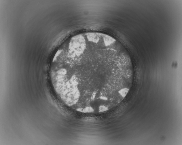 X0000112010738200909141125