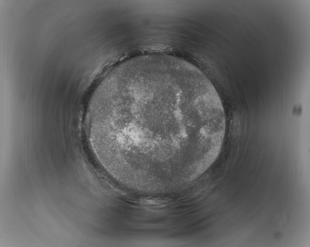 X0000112010739200909141125