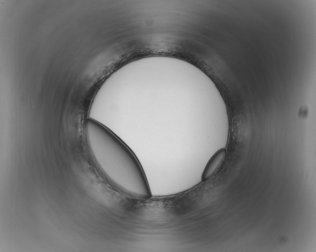 X0000112010740200909141125