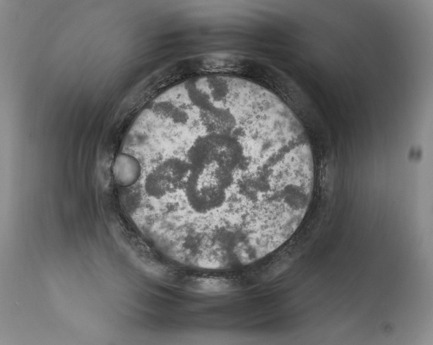 X0000112010741200909141125