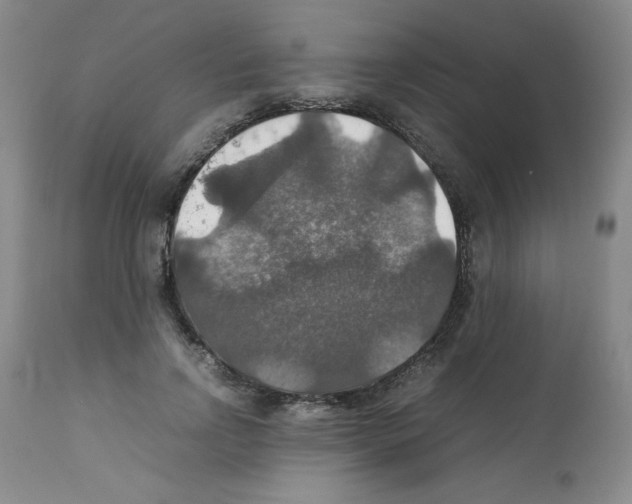 X0000112010742200909141125